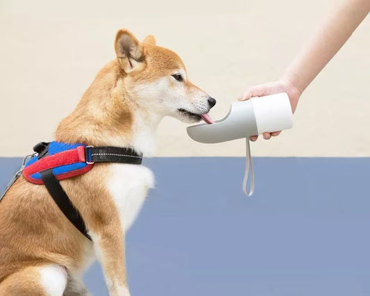 Recipient stocare apa pentru animale portabil , Xiaomi Moestar Rocket