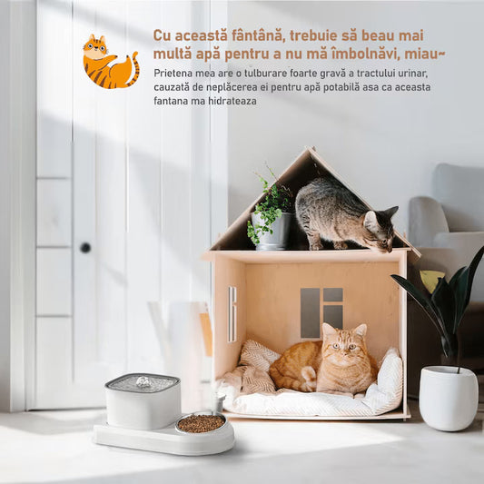 Dispenser apa automat cu Bol pentru mancare NextWave, 2-1 tip fantana pentru pisici si caini, cu purificare si filtrare prin carbune activ, 3L, silentios, adaptor priza, Alb