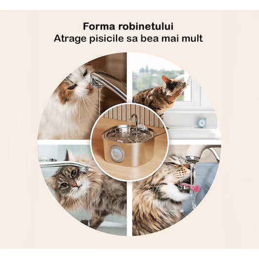 Dispenser apa automat tip fantana pentru pisici si caini NextWave, cu fereastra nivel apa, filtrare cu carbune activ, inox, ultra-silentios, USB, 3.2L.