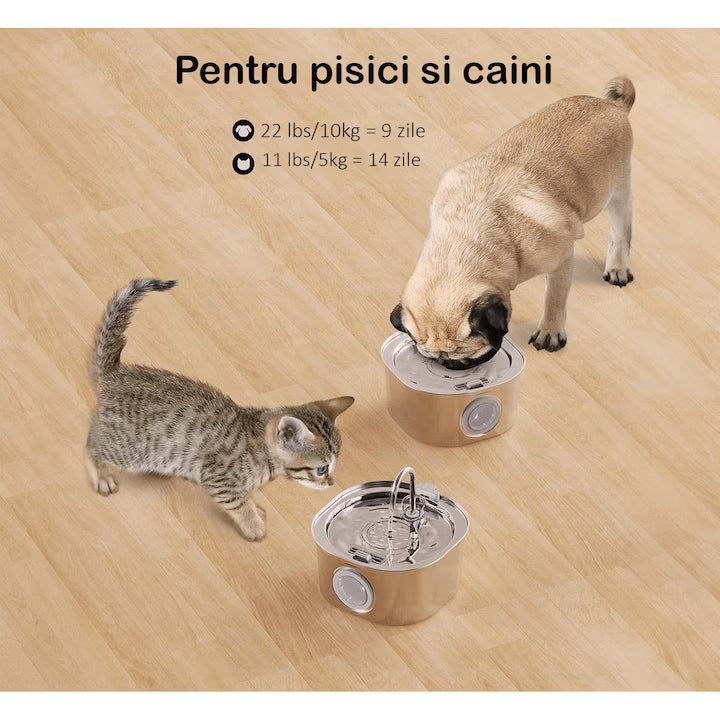 Dispenser apa automat tip fantana pentru pisici si caini NextWave, cu fereastra nivel apa, filtrare cu carbune activ, inox, ultra-silentios, USB, 3.2L.
