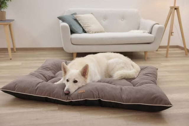 Saltea pentru caini Benno, Kerbl, 80 cm, Maro