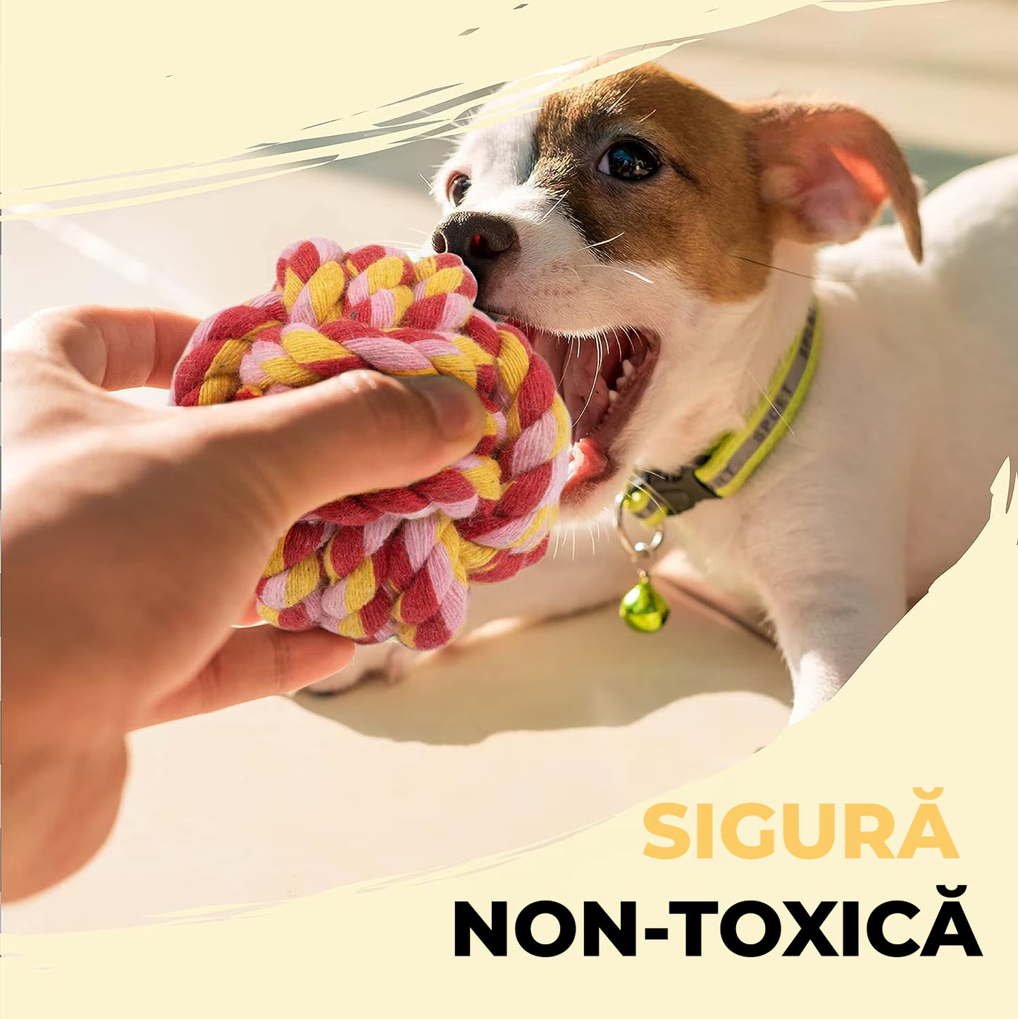 Jucarii interactive pentru caini Fish & Paws, ideale pentru sanatatea dentara, interesante si sigure adresate animalelor de companie, Set de 18 jucarii