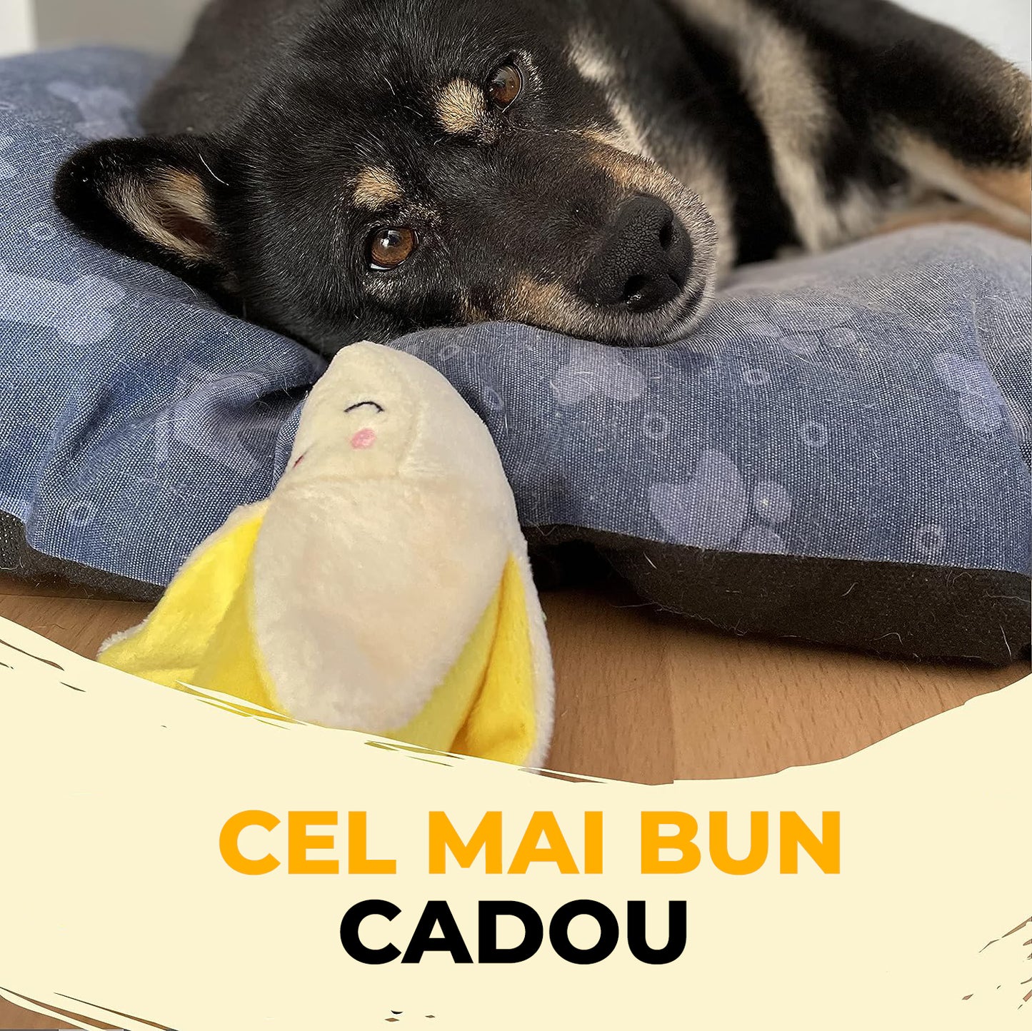 Jucarii interactive pentru caini Fish & Paws, ideale pentru sanatatea dentara, interesante si sigure adresate animalelor de companie, Set de 18 jucarii