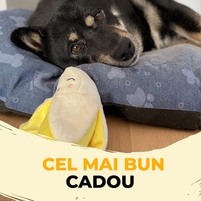 Jucarii interactive pentru caini Fish & Paws, ideale pentru sanatatea dentara, interesante si sigure adresate animalelor de companie, Set de 18 jucarii
