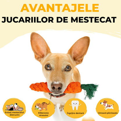 Jucarii interactive pentru caini Fish & Paws, ideale pentru sanatatea dentara, interesante si sigure adresate animalelor de companie, Set de 18 jucarii