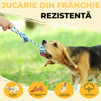 Jucarii interactive pentru caini Fish & Paws, ideale pentru sanatatea dentara, interesante si sigure adresate animalelor de companie, Set de 18 jucarii