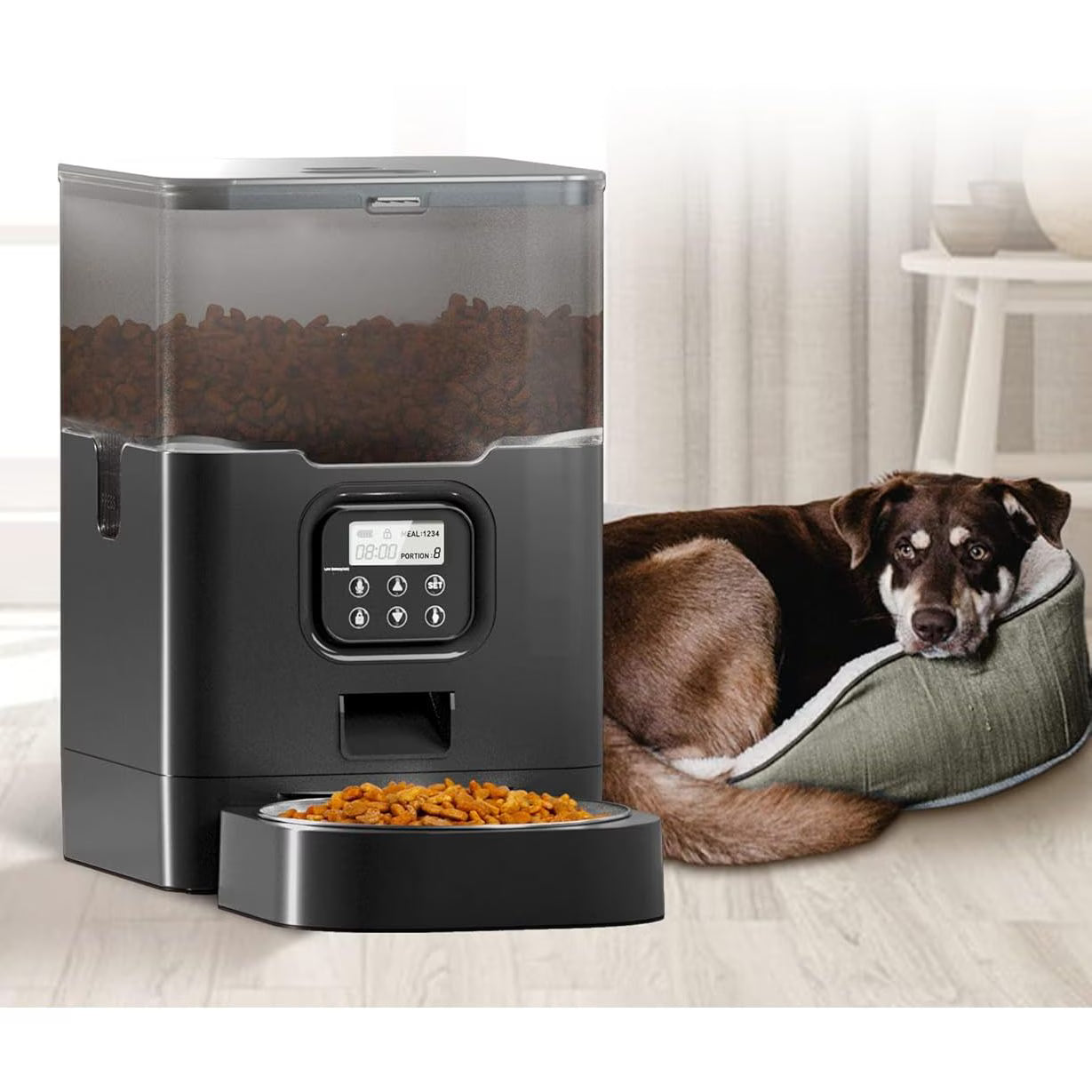 Hranitor Automat Digital Pisici si Caini Huggo Rezervor Transparent 4L, Mesaj Vocal, 4 Mese/Zi, Control Portii, Hrana Uscata, Sistem Anti-Blocare, Alimentare Duala Retea/Baterii