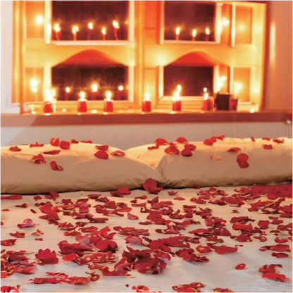 Petale de Trandafir Rosii Decorative - 300buc