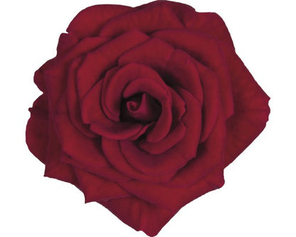 Trandafir floare mare FloraSelf Rosa 'Isabel' H 30-40 cm ghiveci Ø 13 cm roșu